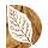 Manit_Joshi