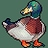 Pato