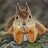 Arlo211316
