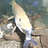 mark_miller mark_miller