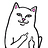 Arwen_Ng
