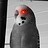 c_Base