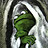 OldDarkFrog