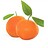 Satsuma