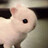Snailittle_ZZ