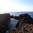 Tarotis