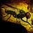 EWO_024 EWO_024