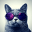 May_Meow