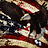 Scott_Taylor