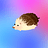 Hedgy