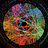 Falco_Peregrinus