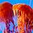 redsands