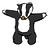 yngndrw