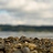 rebuilding_patrick