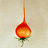 plumsdirigible