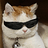 lolcoolkat