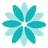 vividcode
