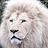 lionwix
