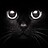 Jeromy_Stroh