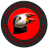 Puffin