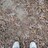 Cally_Alvarado_old-system