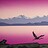 Rob_Mielcarski_old-system