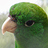 Abigail_Silveira