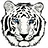 WhiteTiger