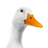 Josemanuelhr