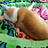 Beaver_2021