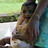 Vineesh_v