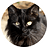ablackcatstail