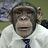 chimpydev