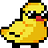 DuckyShine04