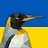 ovk