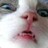 stevenwithaph