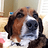 Colin_Rupp