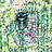 greenmissingn0