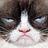 GrumpyMeow