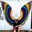 wings_79067