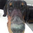 Andreas_Josefsson
