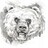 bearhntr