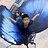d3brain