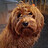 grimard_giguere1