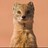 Jon_Stephenson