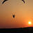 kitewing