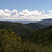 lynnmount
