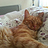 Nick_Radaev