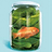 picklefish