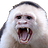 Ricardo